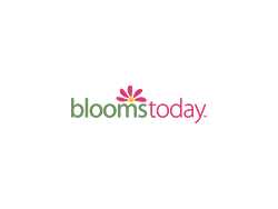 Blooms Today Flowers Gifts