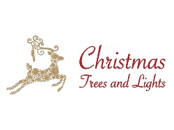Christmas Trees Lights