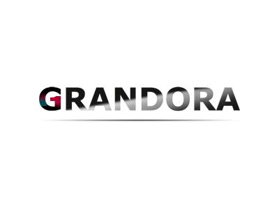 grandora-dein-profi-fuer-wand-und-autodesigns