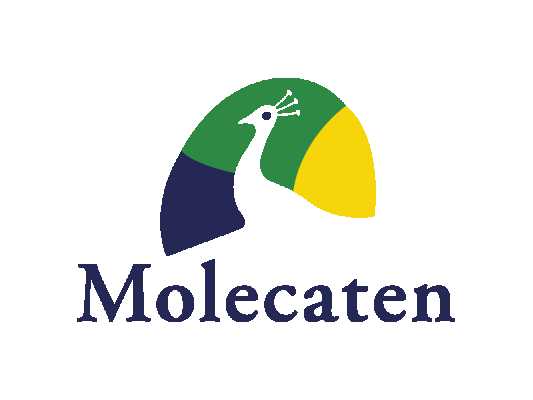 for-the-best-autumn-holidays-you-must-come-to-molecaten