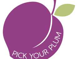 double-sided-15-foot-solar-led-patio-umbrella-with-crank