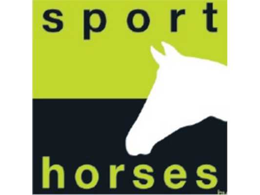 horses-for-sale