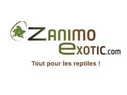 Zanimo Exotic